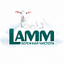 lamm lamm